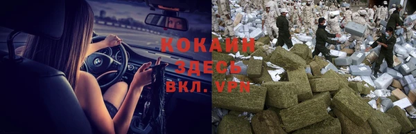 винт Ладушкин